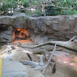 Minnesota Zoo 2010 - Part of Komodo Dragon exhibit inside Tropics Trail
