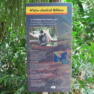 Minnesota Zoo 2010 - Example of Tropics Trail signage