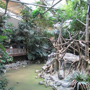 Minnesota Zoo 2010 - White-cheeked Gibbon Island seen from the other end