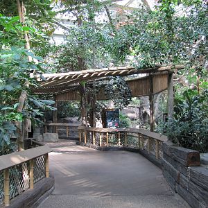 Minnesota Zoo 2010 - General view inside Tropics Trail
