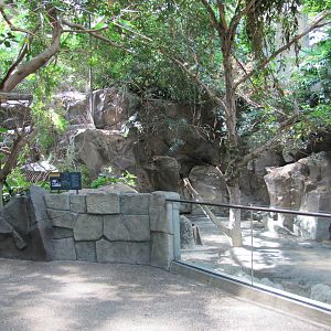 Minnesota Zoo 2010 - Left part of mixed exhibit for Malayan Tapir and Bintu