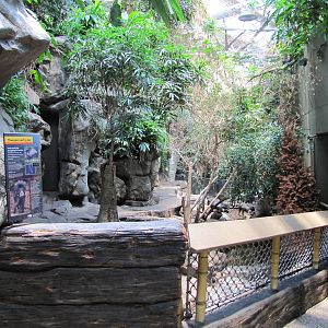 Minnesota Zoo 2010 - Front of Visayan Warty Pig exhibit inside Tropics Trai