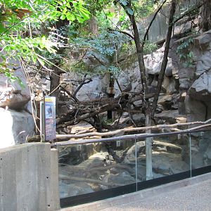 Minnesota Zoo 2010 - Front of mixed exhibit for Red Panda and Central Chine