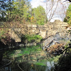 Minnesota Zoo 2010 - First part of American Beaver exhibit in Minnesota Tra