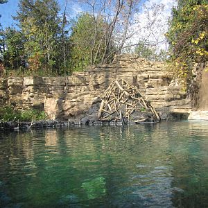 Minnesota Zoo 2010 - Second part of American Beaver exhibit in Minnesota Tr