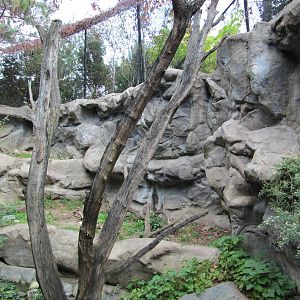 Minnesota Zoo 2010 - Cougar exhibit in Minnesota Trail