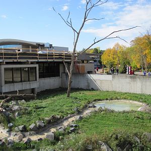 Minnesota Zoo 2010 - Japanese Macaque exhibit from the back
