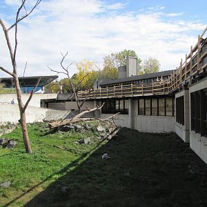 Minnesota Zoo 2010 - Japanese Macaque exhibit from the front