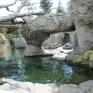 Minnesota Zoo 2010 - Part of the Sea Otter exhibit in Grizzly Coast