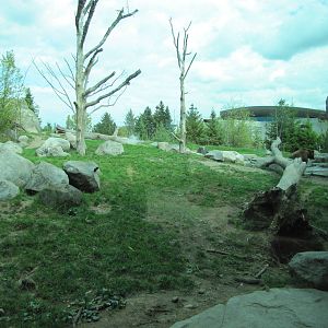 Minnesota Zoo 2010 - View into Alaskan Brown Bear exhibit