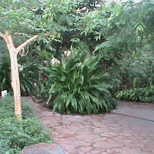 butterfly house 061110