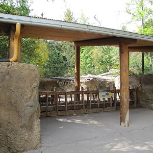 Minnesota Zoo 2010 - Visitor area in front of European Wild Boar exhibit in