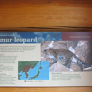 Minnesota Zoo 2010 - Amur Leopard exhibit signage