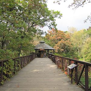 Minnesota Zoo 2010 - Bridgewalk to Amur Tiger viewing point
