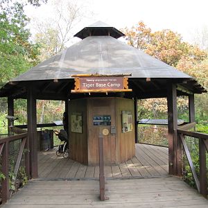 Minnesota Zoo 2010 - Close-up of Amur Tiger viewing point