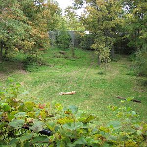 Minnesota Zoo 2010 - Part of amazing Amur Tiger exhibit