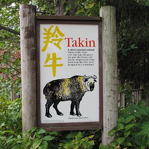 Minnesota Zoo 2010 - Sichuan Takin exhibit signage