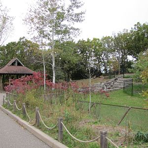 Minnesota Zoo 2010 - One side of Sichuan Takin exhibit