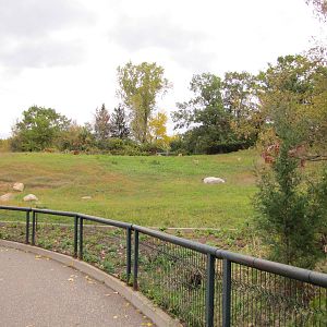 Minnesota Zoo 2010 - Part of massive Goitered Gazelle exhibit