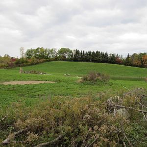 Minnesota Zoo 2010 - Part of massive Bactrian Camel exhibit
