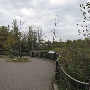 Minnesota Zoo 2010 - Front of Bactrian Camel exhibit