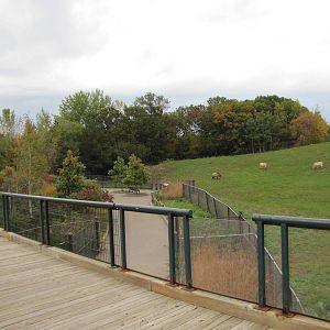 Minnesota Zoo 2010 - View over to Przewalskis Horse exhibit