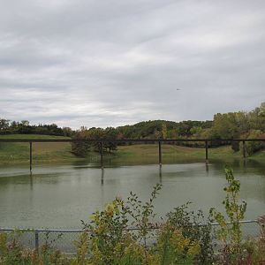 Minnesota Zoo 2010 - Monorail tracks and Moskox exhibit