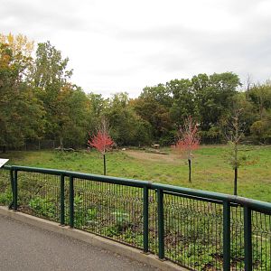 Minnesota Zoo 2010 - Front of Caribou exhibit