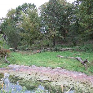 Minnesota Zoo 2010 - Part of massive Amur Tiger exhibit