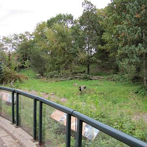 Minnesota Zoo 2010 - Front of massive Amur Tiger exhibit