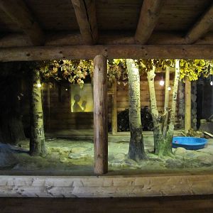 Minnesota Zoo 2010 - Front of Raccoon exhibit in Minnesota Trail