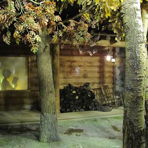 Minnesota Zoo 2010 - Inside Raccoon exhibit in Minnesota Trail