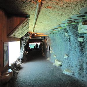 Minnesota Zoo 2010 - Visitor area inside Minnesota Trail