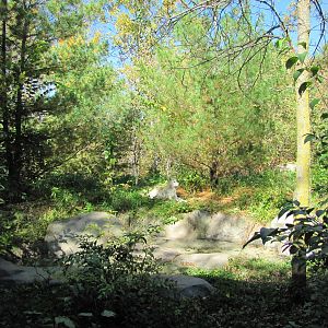 Minnesota Zoo 2010 - Gray Wolf enclosure in Minnesota Trail