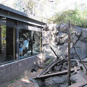 Minnesota Zoo 2010 - Another Wolverine exhibit in Minnesota Trail