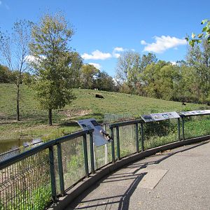 Minnesota Zoo 2010 - Front of massive American Bison and Pronghorn exhibit