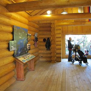 Minnesota Zoo 2010 - Viewing hut for European Wild Boar and Amur Leopard