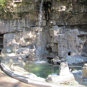 Saint Louis Zoo 2010 - Humboldt Penguin exhibit and Antarctic building