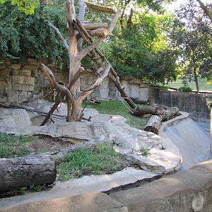 Saint Louis Zoo 2010 - Red Panda exhibit