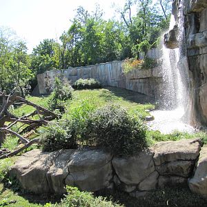 Saint Louis Zoo 2010 - First part of Gorilla outdoor exhibit