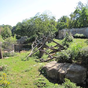 Saint Louis Zoo 2010 - Second part of Gorilla outdoor exhibit