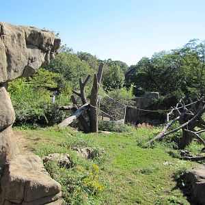 Saint Louis Zoo 2010 - Third part of Gorilla outdoor exhibit