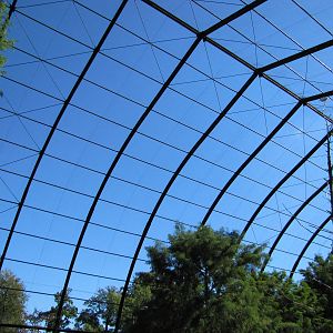 Saint Louis Zoo 2010 - Inside 1904 Worlds Fair Flight Cage