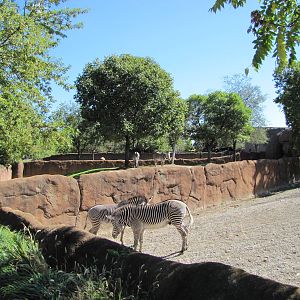 Saint Louis Zoo 2010 - Part of Grevy Zebra exhibit in Red Rocks