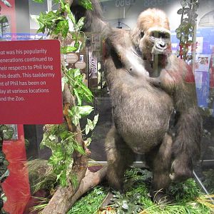 Saint Louis Zoo 2010 - Zootennial