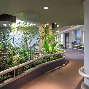 Saint Louis Zoo 2010 - General view inside the Bird House