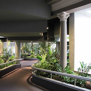 Saint Louis Zoo 2010 - General view inside the Bird House
