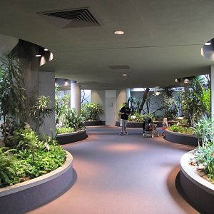 Saint Louis Zoo 2010 - General view inside the Bird House