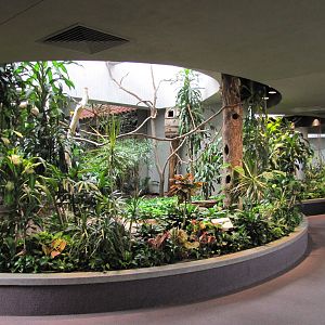 Saint Louis Zoo 2010 - General view inside the Bird House