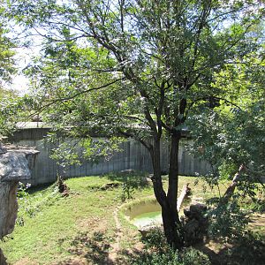 Saint Louis Zoo 2010 - Part of African Lion exhibit in Big Cat Country